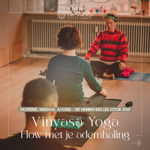 Vinyasa Yoga in Doetinchem
