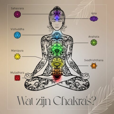 Wat zijn Chakra’s?